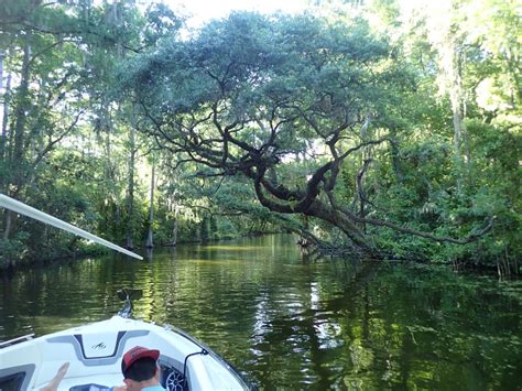 Harris Chain of Lakes - Mount Dora Boating Center & Marina | Mount Dora ...