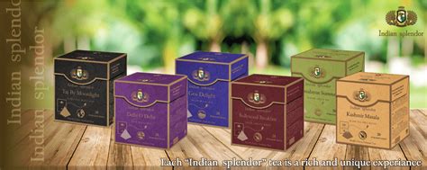 Pyramid Tea Bags Archives - Indiansplendortea