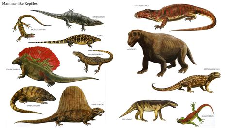 Early large reptiles. | Млекопитающие, Редкие животные, Рептилии