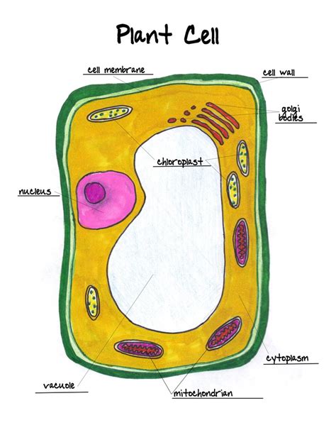 1108 best images about Education/Homework Helpers on Pinterest | Math ...