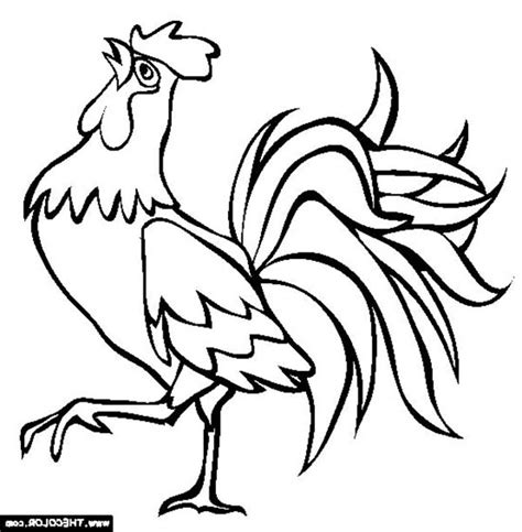 Rooster Cartoon Drawing at GetDrawings | Free download