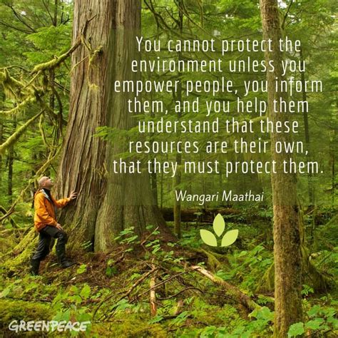 Wangari Maathai #WorldEnvironmentDay | Environmental quotes ...