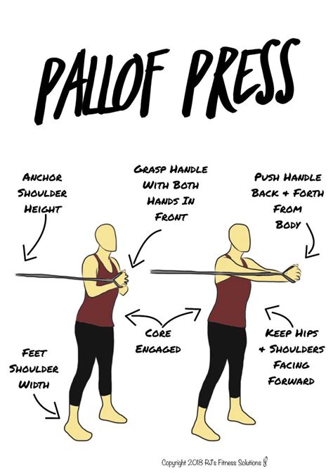 Pallof Press Cues | Ab core workout, Pallof press, Post partum workout