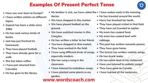 Examples of Past Perfect Tense Sentences - Word Coach