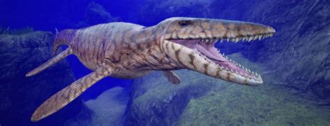 Mosasaurus Information