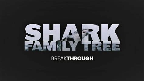 Shark Family Tree - Breakthrough - watch free online documentaries ...