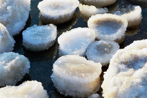 Incredible Ice Formations of Lake Michigan — Fernwood Botanical Garden