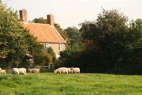 sheep house 3 | Hall Farm Shepherd's Hut & Bed & Breakfast Wenhaston