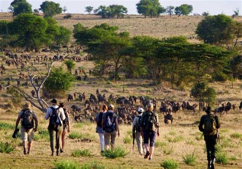 Ngorongoro Conservation Area – Safari Adventures