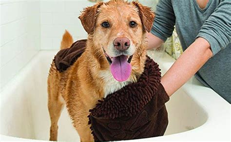 The Best Dog Drying Towels in 2022 | My Pet Needs That