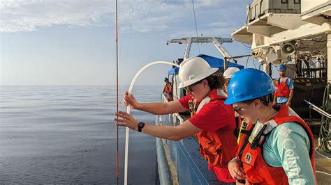 The University of Tampa - News - UT Life - Marine Chemistry Major ...