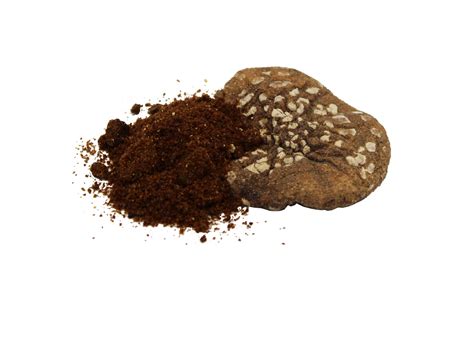 Amanita Pantherina Extract Powder - Amanita Mushrooms