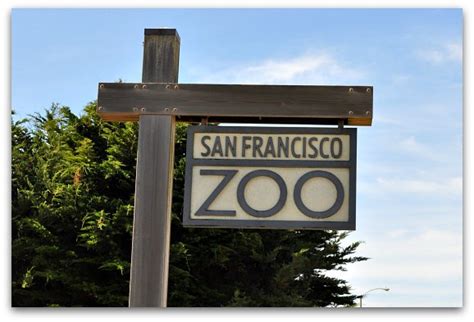 San Francisco Zoo | SF Zoo Gorillas, Big Cats & Other Animals