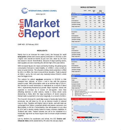 Marketing Reports Templates