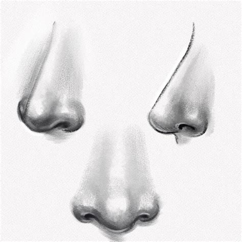 How To Draw A Realistic Human Nose