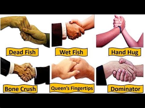 HandShake Types & Their Meanings - YouTube