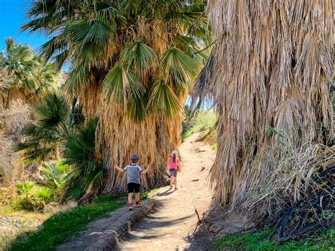 The 4 Best Kid-Friendly Palm Springs Hiking Trails - Family Can Travel