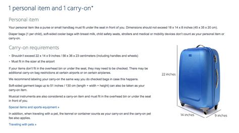 American Airlines Baggage Fees: What You Need to Save Money