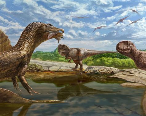 Carcharodontosaurus Vs. Paralititan: When The Speed Wins