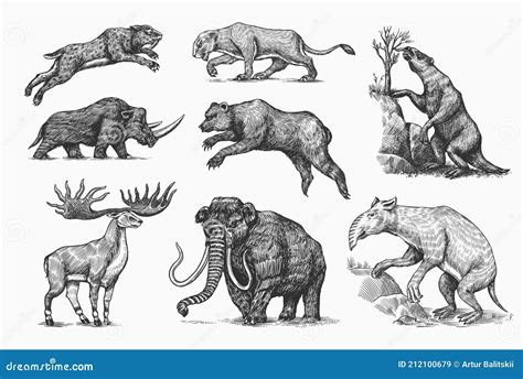 Mammoth or Extinct Elephant, Woolly Rhinoceros Cave Bear Lion. Panthera ...