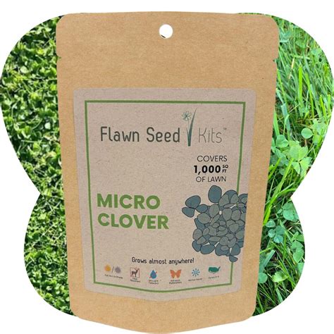 Flawn Seed Micro Clover Flowering Lawn Seed Easy to Use, Kid, Pet ...