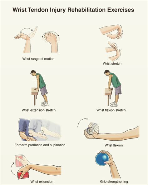 Wrist Flexion And Extension Exercises