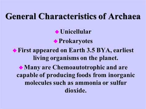 Archaebacteria Kingdom Characteristics