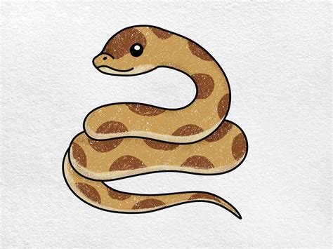 Hognose Snake Drawing - HelloArtsy