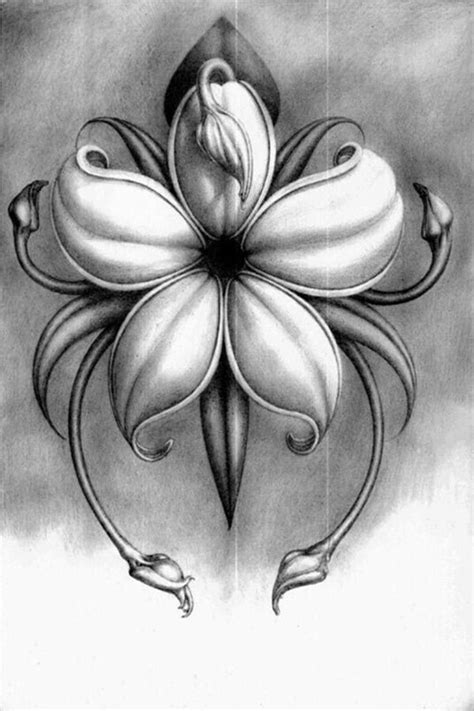 50 Easy Flower Pencil Drawings For Inspiration | Pencil drawings of ...