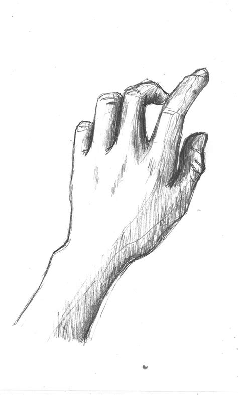 a pencil drawing of a hand holding something