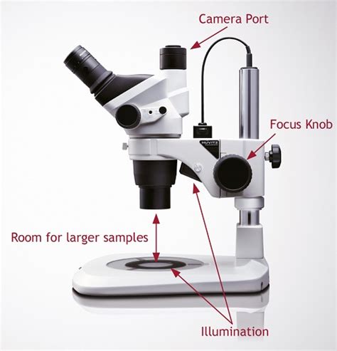 Stereoscope - Stereo Microscopes - Types Of Microscopes