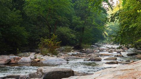 Chattahoochee River National Recreation Area - Missing NPF