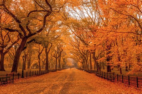 This fall foliage report predicts prime times for leaf-peeping in New York