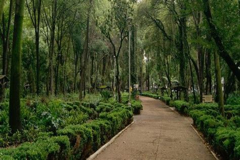 Top 3 best parks in Mexico City - Mexico Top Rated ️