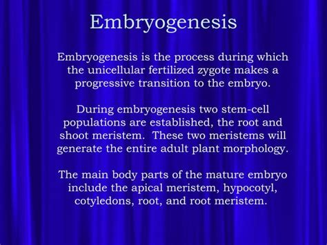 Embryogenesis