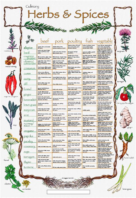 The Creative "Palate": Culinary Herb n' Spice Chart