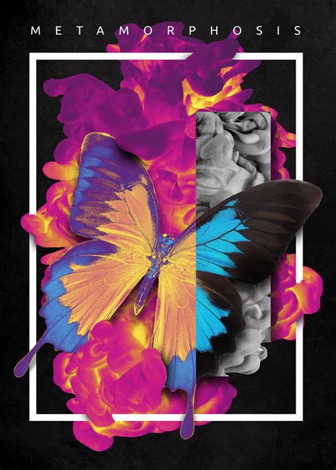 Wall Art Print | Metamorphosis Butterfly | Europosters