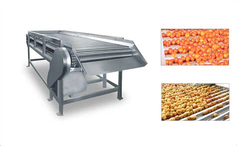 Fruit Processing Machinery Archives - Fruit Processing Machinery ...