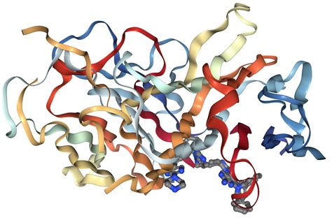 TNF-alpha Protein Overview | Sino Biological