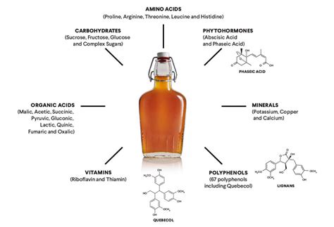 Maple Syrup Nutrition - Calories, Macros & Health Benefits