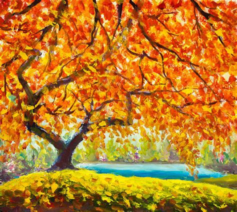 Big autumn tree near the river Gold, red, orange autumn leaves ...