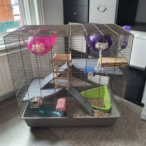 Rat cage with accessories | in Bournemouth, Dorset | Gumtree