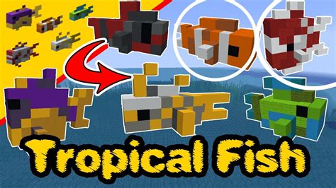 Minecraft All Tropical Fish