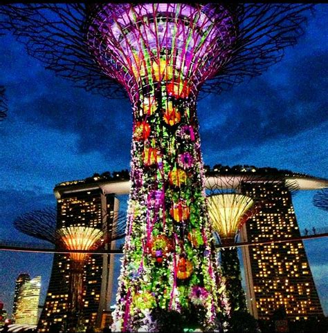 23 Singapore Botanical Garden Night Ideas You Cannot Miss | SharonSable