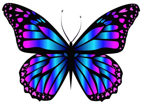 purple blue pink butterfly - Clip Art Library