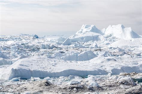 Greenland's Stunning Icebergs — Christine Croucher