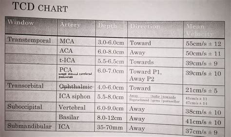 Transcranial Doppler TCD chart Vascular Ultrasound, Sonographer ...