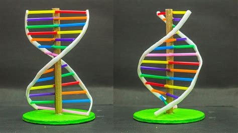 How To Build A Dna Model For School - Contestgold8