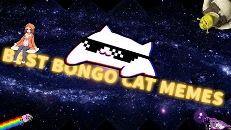 Best Bongo Cat memes compilation #BongoCat - YouTube