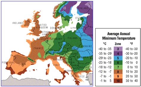 Hardiness Zone Map Europe - Freddy Bernardine